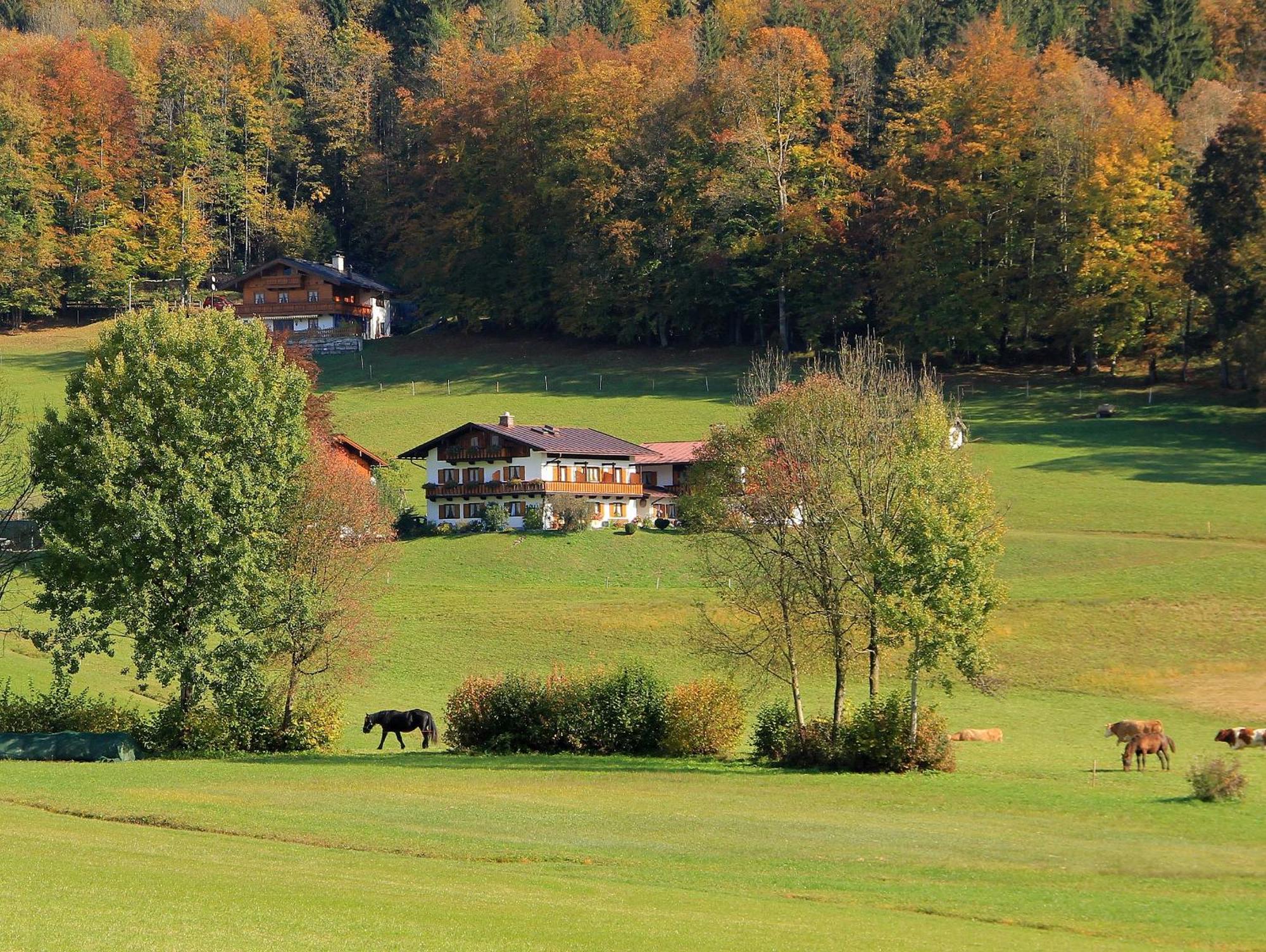 Obergoebllehen Apartment Schonau am Konigssee Bagian luar foto